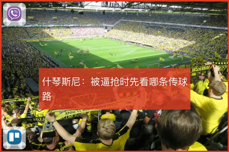什琴斯尼：被逼抢时先看哪条传球路