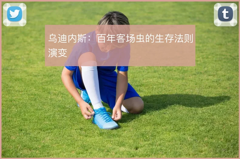 乌迪内斯:百年客场虫的生存法则演变