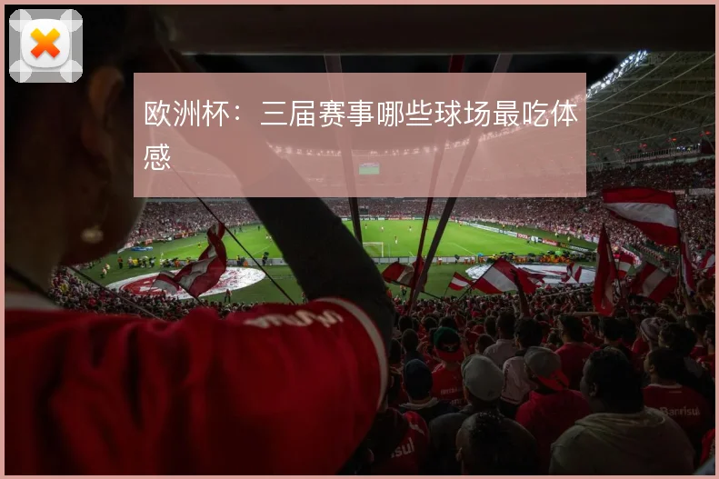 欧洲杯：三届赛事哪些球场最吃体感