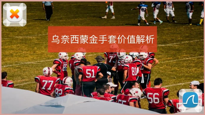 乌奈西蒙金手套价值解析