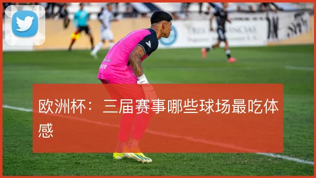 欧洲杯：三届赛事哪些球场最吃体感